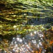 ヒメ日記 2025/06/27 06:49 投稿 綾瀬　おとは YOKOHAMA FIVESTAR（横浜ファイブスター）