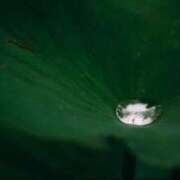 ヒメ日記 2025/06/28 23:23 投稿 綾瀬　おとは YOKOHAMA FIVESTAR（横浜ファイブスター）