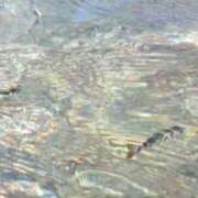 ヒメ日記 2025/06/30 10:37 投稿 綾瀬　おとは YOKOHAMA FIVESTAR（横浜ファイブスター）