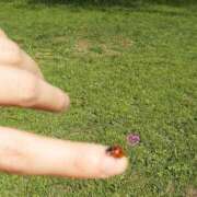 ヒメ日記 2025/07/04 12:33 投稿 綾瀬　おとは YOKOHAMA FIVESTAR（横浜ファイブスター）