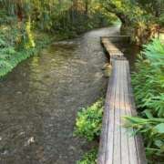 ヒメ日記 2025/07/10 13:21 投稿 綾瀬　おとは YOKOHAMA FIVESTAR（横浜ファイブスター）