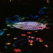 ヒメ日記 2025/10/07 22:49 投稿 綾瀬　おとは YOKOHAMA FIVESTAR（横浜ファイブスター）