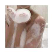 ヒメ日記 2025/06/11 11:06 投稿 ヒイ マリン千姫