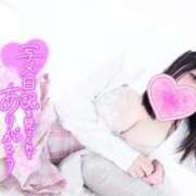 ヒメ日記 2025/10/07 08:02 投稿 ヒイ マリン千姫