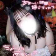 ヒメ日記 2025/10/10 05:52 投稿 ヒイ マリン千姫