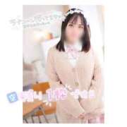 ヒメ日記 2025/10/12 08:52 投稿 ヒイ マリン千姫