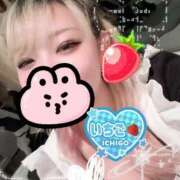 ヒメ日記 2025/11/15 08:27 投稿 いちご【新人・PERFECT】 ソープランド メイド館 ラ・メイド