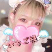 ヒメ日記 2025/12/01 08:57 投稿 いちご【新人・PERFECT】 ソープランド メイド館 ラ・メイド