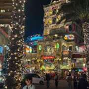 ヒメ日記 2026/02/22 17:29 投稿 瞳【ひとみ】 輝女