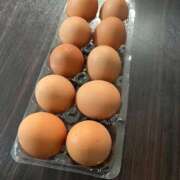 ヒメ日記 2025/11/10 11:21 投稿 そよ Felice(フェリス)