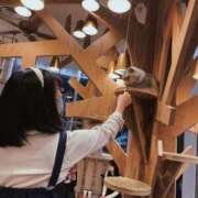 ヒメ日記 2025/12/30 17:18 投稿 もも 札幌回春性感マッサージ倶楽部