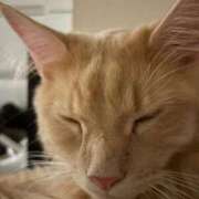 ヒメ日記 2026/01/25 17:28 投稿 もも 札幌回春性感マッサージ倶楽部