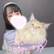 ヒメ日記 2026/02/20 21:18 投稿 もも 札幌回春性感マッサージ倶楽部