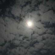 ヒメ日記 2025/10/18 14:05 投稿 ひなた 市原五井蘇我ちゃんこ