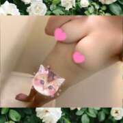 ヒメ日記 2025/11/28 18:05 投稿 ひなた 市原五井蘇我ちゃんこ