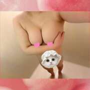 ヒメ日記 2026/03/13 18:15 投稿 ひなた 市原五井蘇我ちゃんこ