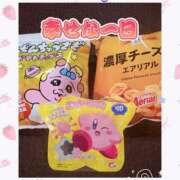 ヒメ日記 2026/03/14 04:45 投稿 ひなた 市原五井蘇我ちゃんこ