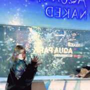 ひめ ひめが日常♡ フォーチュン