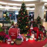 ヒメ日記 2025/12/07 15:48 投稿 みんと 舐めフェチの会