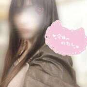 ヒメ日記 2026/01/11 12:06 投稿 みんと 舐めフェチの会