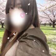 ヒメ日記 2026/04/02 19:42 投稿 みんと 舐めフェチの会