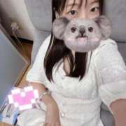 ヒメ日記 2025/08/31 01:07 投稿 こあら LEVEL1