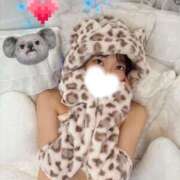 ヒメ日記 2025/09/23 04:31 投稿 こあら LEVEL1