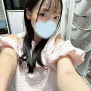 ヒメ日記 2025/09/27 03:41 投稿 こあら LEVEL1