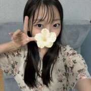 ヒメ日記 2025/10/03 06:01 投稿 こあら LEVEL1