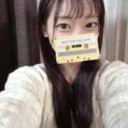 ヒメ日記 2025/10/17 00:21 投稿 こあら LEVEL1