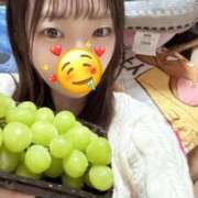 ヒメ日記 2025/10/28 18:26 投稿 こあら LEVEL1