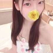 ヒメ日記 2025/10/29 08:52 投稿 こあら LEVEL1