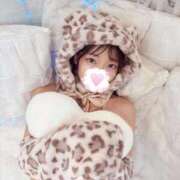 ヒメ日記 2025/11/10 07:01 投稿 こあら LEVEL1