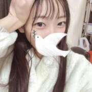 ヒメ日記 2025/11/13 05:45 投稿 こあら LEVEL1