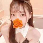 ヒメ日記 2025/11/14 23:01 投稿 こあら LEVEL1