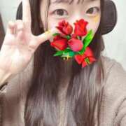 ヒメ日記 2025/11/15 04:41 投稿 こあら LEVEL1