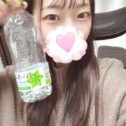 ヒメ日記 2025/11/15 04:46 投稿 こあら LEVEL1