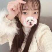 ヒメ日記 2025/11/18 07:01 投稿 こあら LEVEL1