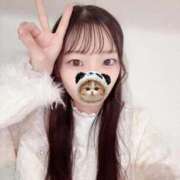 ヒメ日記 2025/11/18 07:12 投稿 こあら LEVEL1