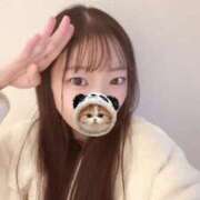 ヒメ日記 2025/11/19 20:32 投稿 こあら LEVEL1