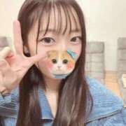 ヒメ日記 2025/11/19 23:11 投稿 こあら LEVEL1