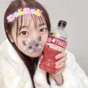 ヒメ日記 2025/11/20 03:36 投稿 こあら LEVEL1