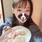 ヒメ日記 2025/11/20 07:51 投稿 こあら LEVEL1