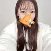 ヒメ日記 2025/11/22 04:01 投稿 こあら LEVEL1