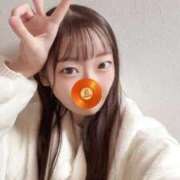 ヒメ日記 2025/12/08 14:11 投稿 こあら LEVEL1