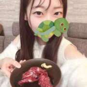 ヒメ日記 2025/12/08 14:31 投稿 こあら LEVEL1