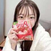 ヒメ日記 2025/12/10 01:01 投稿 こあら LEVEL1