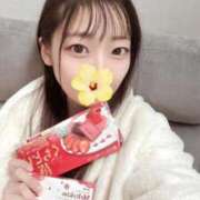 ヒメ日記 2025/12/16 04:46 投稿 こあら LEVEL1