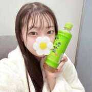 ヒメ日記 2025/12/23 04:41 投稿 こあら LEVEL1