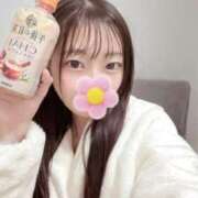 ヒメ日記 2025/12/23 22:31 投稿 こあら LEVEL1